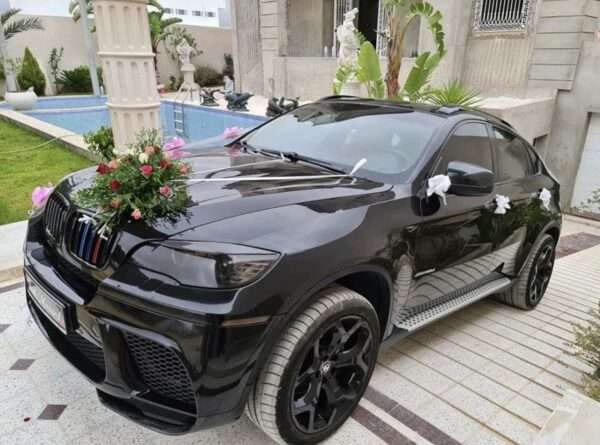 BMW X6 1